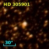 HD 305901