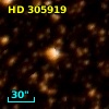 HD 305919