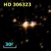 HD 306323