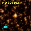 HD 308103