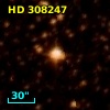 HD 308247