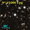 V* V1066 Cyg