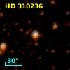 HD 310236