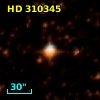 HD 310345