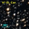 V* EL Car