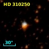 HD 310250