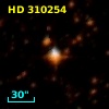 HD 310254