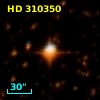 HD 310350