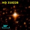 HD 310228
