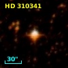 HD 310341
