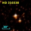 HD 310338