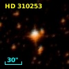 HD 310253