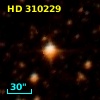 HD 310229