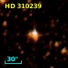 HD 310239