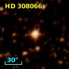 HD 308066