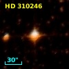 HD 310246