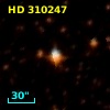 HD 310247