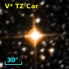 V* TZ Car
