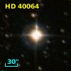 HD  40064