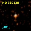 HD 310128