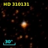 HD 310131