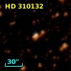 HD 310132