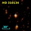 HD 310134