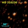 HD 310230