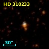 HD 310233