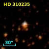 HD 310235