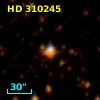 HD 310245