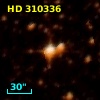 HD 310336