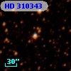 HD 310343