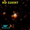 HD 310347