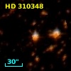 HD 310348