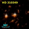 HD 310349