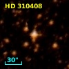 HD 310408