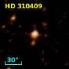 HD 310409