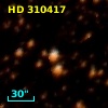 HD 310417