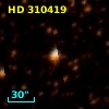HD 310419