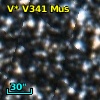 2MASS J13131270-6447141