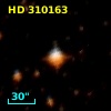 HD 310163