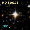 HD 310173
