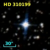HD 310199