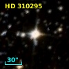 HD 310295