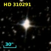 HD 310291