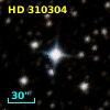 HD 310304