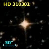 HD 310301