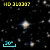 HD 310307