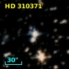 HD 310371